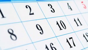 ¡Atención emprendedor! Infórmate sobre el Feriado Irrenunciable para el día del Censo